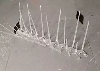 Bird Spikes